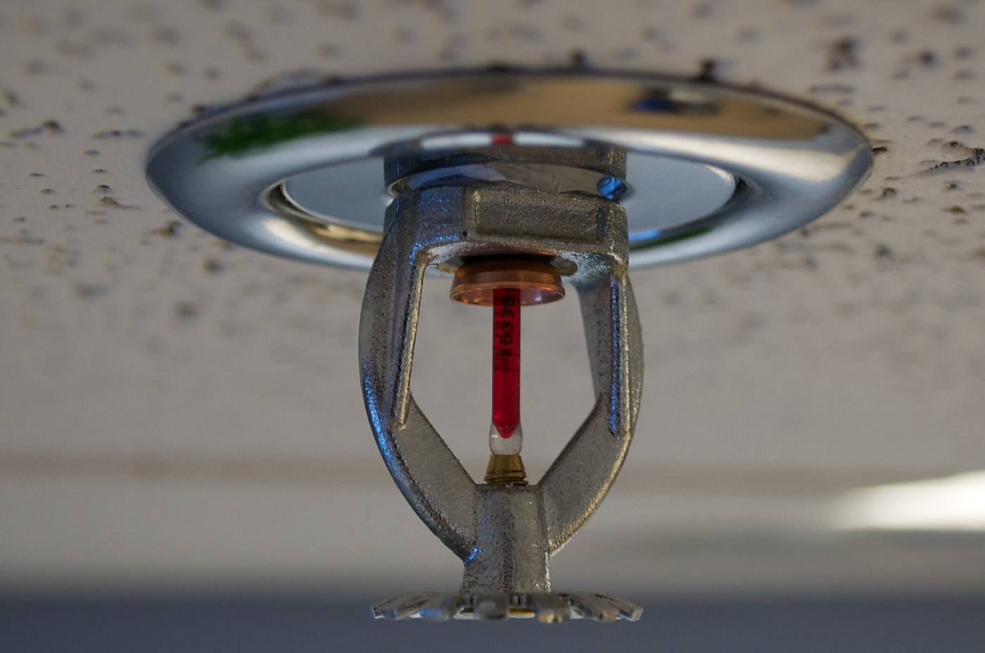Fire Protection & Security